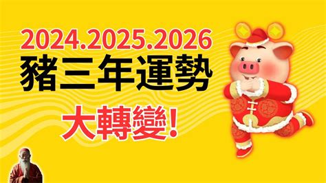 豬年運程|2024年屬豬人全年整體運勢詳解